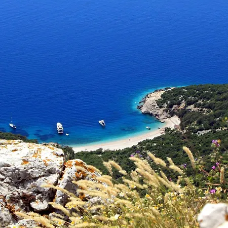 House With Wifi - 24872 Dom wakacyjny